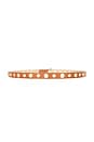 view 2 of 3 Rivet Studded Belt in Brown