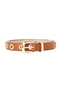 view 3 of 3 Rivet Studded Belt in Brown
