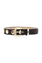 view 3 of 3 Studded Disc Belt in Black & Gold