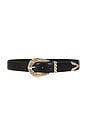 view 1 of 3 Modern Rodeo Belt in Black Crox & Gold