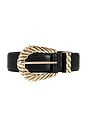 view 3 of 3 Modern Rodeo Belt in Black Crox & Gold