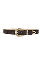 view 1 of 3 Modern Rodeo Belt in Chocolate & Gold