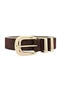 view 3 of 3 Atlas Belt in Dark Brown Suede & Gold