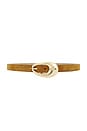 view 1 of 3 Molten Belt in Camel Suede & Gold