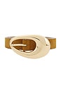 view 3 of 3 Molten Belt in Camel Suede & Gold