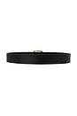 view 2 of 3 Cher Belt in Black & Gold