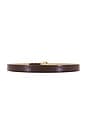 view 2 of 3 Atlas Belt in Brown Croc & Gold