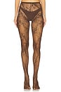 view 1 of 2 Stretch Lace Tights in Brown