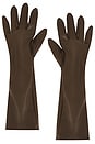 view 1 of 2 Carmen Gloves in Brown