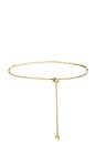 view 1 of 3 Fishbone Belt in Gold