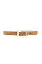 view 1 of 3 CEINTURE ATLAST in Camel Suede & Gold