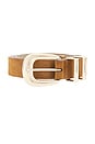 view 3 of 3 CEINTURE ATLAST in Camel Suede & Gold