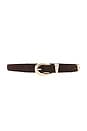 view 1 of 3 CINTURÓN BRAIDED in Dark Brown Suede & Gold