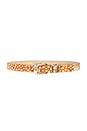 view 1 of 3 CEINTURE ATLAST in Bambi & Gold