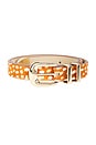 view 3 of 3 CEINTURE ATLAST in Bambi & Gold