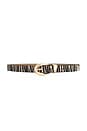 view 1 of 3 Marisa Belt in Zebra & Gold