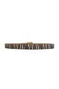 view 2 of 3 Marisa Belt in Zebra & Gold