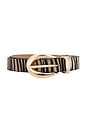 view 3 of 3 Marisa Belt in Zebra & Gold