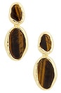 view 1 of 2 Spellbound Earrings in Gold & Tiger's Eye