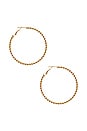 view 2 of 2 Omnia Hoops in Gold