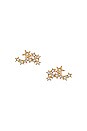 view 3 of 3 BRINCOS SATELLITE in Gold