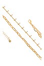 view 2 of 2 Vetta Chain in Gold