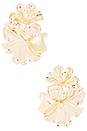 view 1 of 2 Noveldo Earrings in Gold
