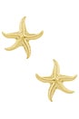 view 1 of 2 Starfish Earrings in Gold