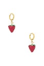 view 1 of 3 Aglio Earrings in Gold