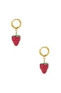 view 2 of 3 Aglio Earrings in Gold