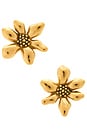 view 1 of 2 Daybreak Earrings in Waterproof & Gold