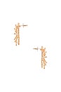 view 2 of 3 Disco Daisy Earrings in Gold