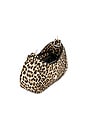 view 4 of 4 Modern Buckle Bag in Leopard
