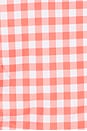 view 6 of 6 TOP BIKINI EMMY in Sriracha Gingham