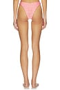 view 3 of 5 BRAGUITA BIKINI MILLIE in Sriracha Gingham