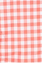 view 5 of 5 BRAGUITA BIKINI MILLIE in Sriracha Gingham