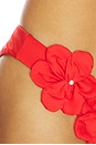 view 6 of 6 Rae Bikini Bottom in Sriracha Red