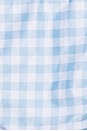 view 5 of 5 Tonie Bikini Bottom in Cloud Blue Gingham