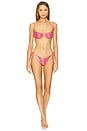view 4 of 5 Ari Skimpy Bottom in Legally Coral