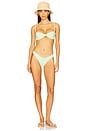 view 4 of 5 Asher Bikini Top in Matcha Latte