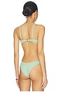 view 3 of 4 Lara Bikini Top in Palma Queen