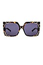 view 1 of 3 x Rocky Barnes Sun & Shade Sunglasses in Dark Tortoise & Gold