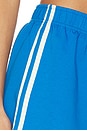 view 6 of 6 Travel Stripe Short in Cobalt & White