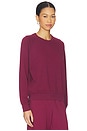 view 2 of 4 Alexi French Terry Sweatshirt in Dark Burgundy