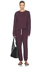 view 5 of 4 Tyler French Terry Pullover Sweatshirt in Cherry Lacquer