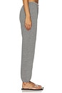 view 3 of 6 Stevie Sweatpant in Dark Heather Grey