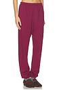 view 2 of 6 Johnny French Terry Easy Sweatpant in Dark Burgundy