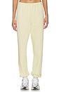 view 1 of 6 French Terry Easy Sweatpant in Custard