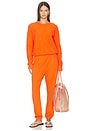 view 5 of 6 JOHNNY 이지 스웨트팬츠 in Clementine