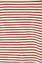 view 5 of 5 Loop Terry Stripe Tee in Poppy & Chocolate